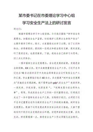 某市委书记在市委理论学习中心组学习安全生产法上的研讨发言.docx