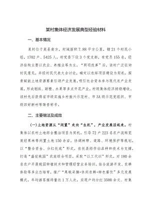 某村集体经济发展典型经验材料 .docx