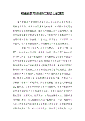 在主题教育阶段性汇报会上的发言.docx