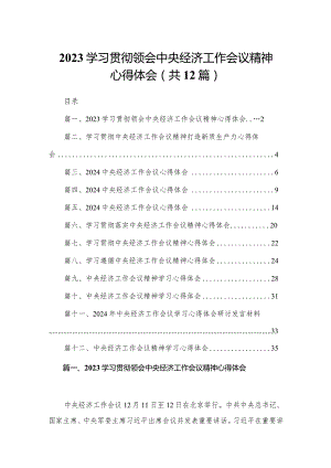 学习贯彻领会中央经济工作会议精神心得体会12篇（精编版）.docx