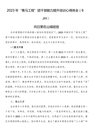 2023年“青马工程”团干部能力提升培训心得体会（6篇）.docx