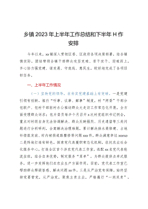 乡镇2023年上半年工作总结和下半年工作安排.docx