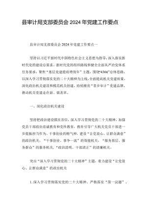 县审计局支部委员会2024年党建工作要点.docx