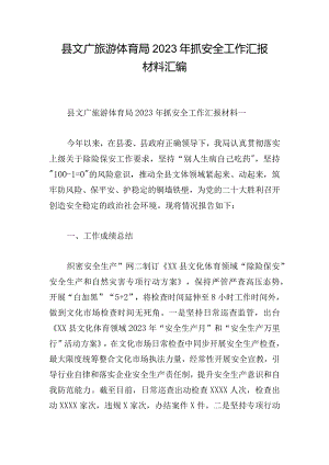 县文广旅游体育局2023年抓安全工作汇报材料汇编.docx