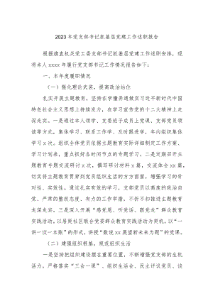 2023年党支部书记抓基层党建工作述职报告.docx