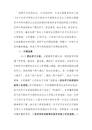 2023年审计局党组教育民主生活检查材料（六个方面）范文两篇.docx