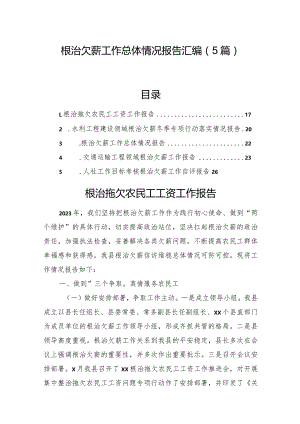 根治欠薪工作总体情况报告汇编（5篇）.docx