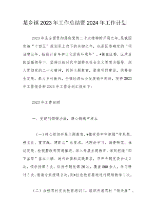 某乡镇2023年工作总结暨2024年工作计划.docx