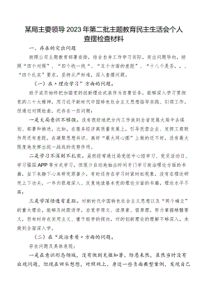某局主要领导2023年第二批集中教育民主生活会个人查摆检查材料.docx