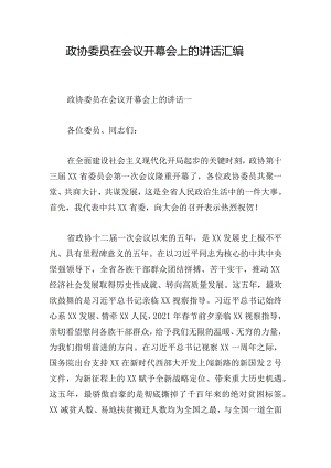 政协委员在会议开幕会上的讲话汇编.docx