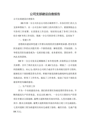 公司支部建设自查报告.docx