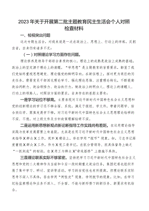 2023年关于开展第二批学习教育民主生活会个人对照检查材料.docx