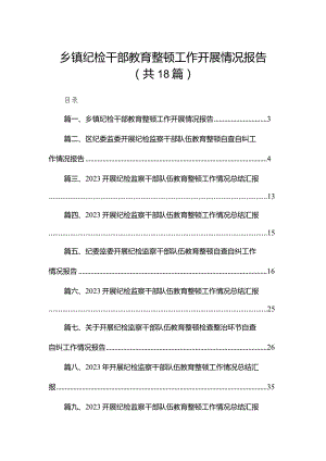 乡镇纪检干部教育整顿工作开展情况报告（共18篇）.docx