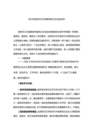 审计局党组书记主题教育民主生活会材料.docx