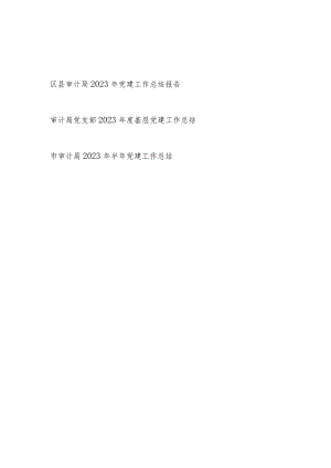 区县审计局2023年党建工作总结报告汇报和审计局党支部2023年度基层党建工作总结.docx