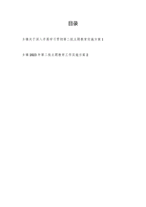 乡镇学思想、强党性、重实践、建新功2023年深入开展第二批主题教育工作实施方案2篇.docx