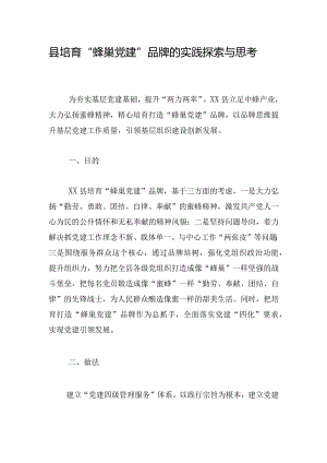 县培育“蜂巢党建”品牌的实践探索与思考.docx