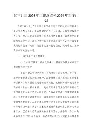 区审计局2023年工作总结和2024年工作计划.docx