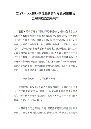 2023年XX副职领导主题教育专题民主生活会对照检查剖析材料.docx