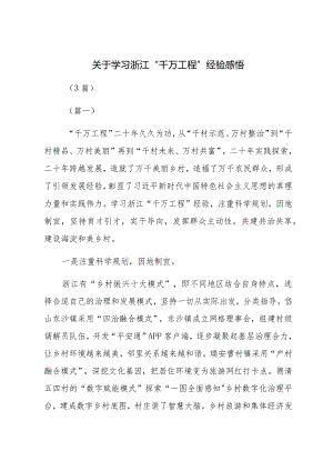 关于学习浙江“千万工程”经验感悟（3篇）.docx