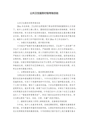 公共卫生服务村级考核总结.docx