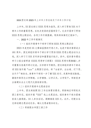 团支部2023年上半年工作总结及下半年工作计划.docx