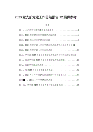 2023党支部党建工作总结报告12篇供参考.docx