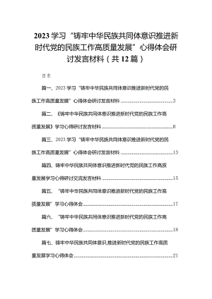 学习“铸牢中华民族共同体意识推进新时代党的民族工作高质量发展”心得体会研讨发言材料最新精选版【12篇】.docx
