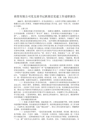 商贸有限公司党支部书记抓基层党建工作述职报告.docx