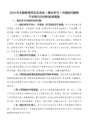 2023年专题教育民主生活会“理论学习”方面的问题附下步努力方向和改进措施.docx