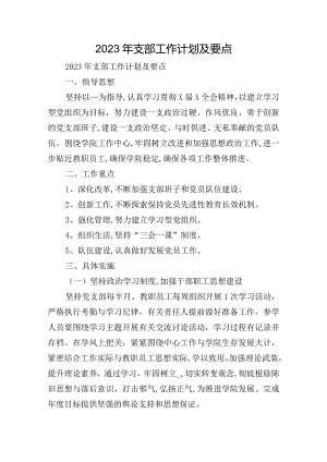 2023年支部工作计划及要点.docx