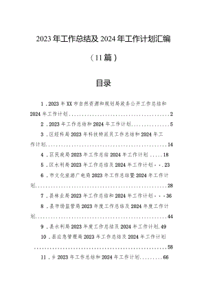 2023年工作总结及2024年工作计划汇编（11篇）.docx