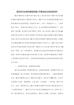 商会在社会组织基层党建工作推进会交流发言材料.docx