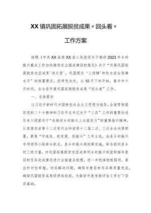 XX镇巩固拓展脱贫成果“回头看”工作方案.docx