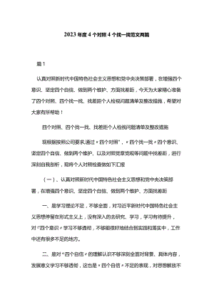 2023年度4个对照4个找一找范文两篇.docx