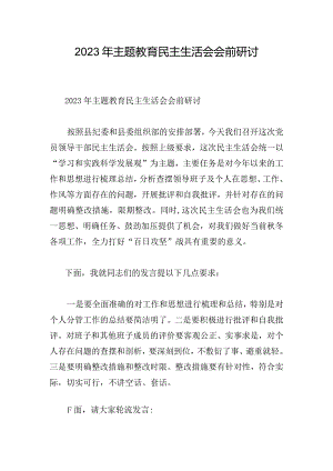 2023年主题教育民主生活会会前研讨.docx
