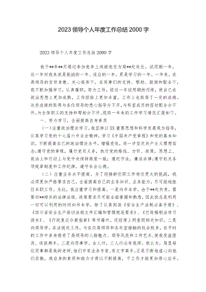 2023领导个人年度工作总结2000字.docx