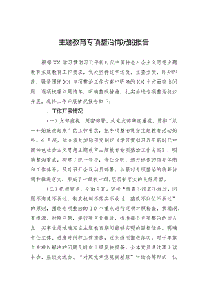 2023主题教育专项整治情况的报告.docx