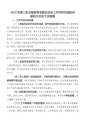 2023年第二批集中教育专题生活会工作作风方面的问题和不足含下步措施.docx