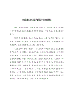 主题教育发言材料：向最难处攻坚 向最关键处挺进1400字.docx