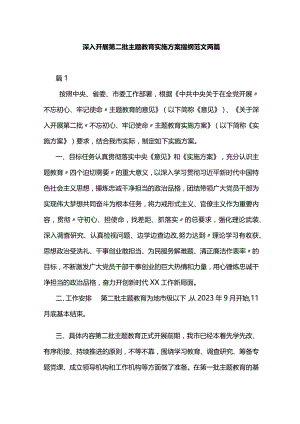 深入开展第二批主题教育实施方案提纲范文两篇.docx