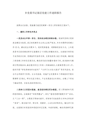 乡党委书记基层党建工作述职报告.docx