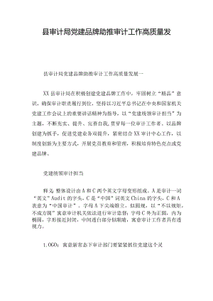 县审计局党建品牌助推审计工作高质量发展5篇.docx