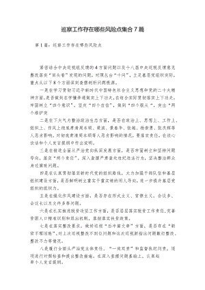 巡察工作存在哪些风险点集合7篇.docx