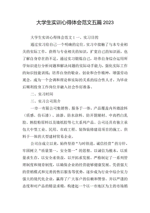 大学生实训心得体会范文五篇2023.docx