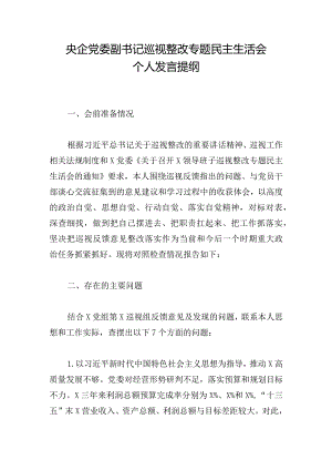 央企党委副书记巡视整改专题民主生活会个人发言提纲.docx