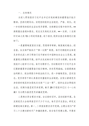 党支部2023年组织生活落实情况自查报告.docx