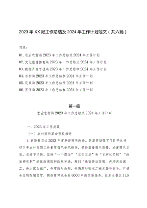 2023年XX局工作总结及2024年工作计划范文（共六篇）.docx
