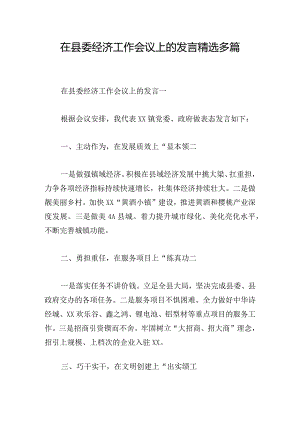 在县委经济工作会议上的发言精选多篇.docx