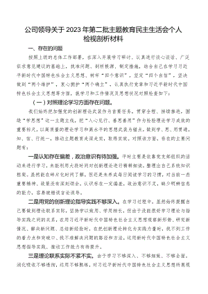 公司领导关于2023年第二批专题教育民主生活会个人检视剖析材料.docx